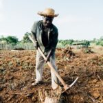 Social-Economic Development in Agriculture
