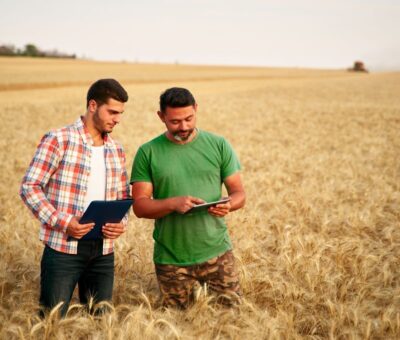 Innovative tech. Precision agriculture farming with online data management software